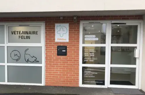 Félidoc  Vétérinaire 100% Chat à Tours  La