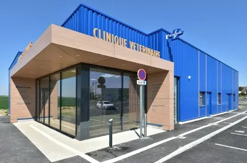 CLINIQUE VETERINAIRE ANIMARA PERONNE