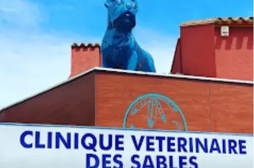 Clinique Vétérinaire des Sables