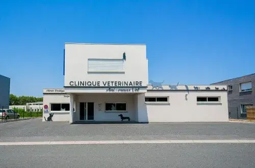 Clinique Vétérinaire AniMaux Vét