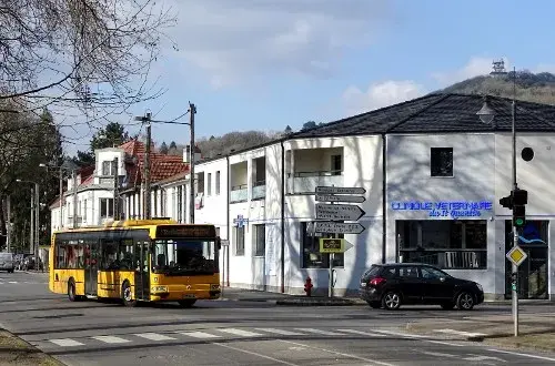 Clinique vétérinaire du SaintQuentin