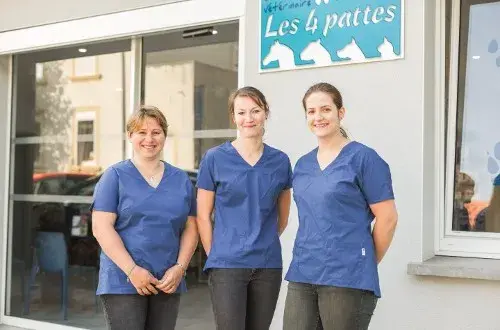 Les 4 Pattes