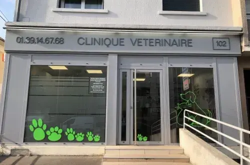 Clinique Vétérinaire Dr. ROUMANE